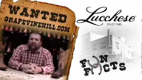 Lucchese Boots Fun Fact - Over 300 Different  Skins