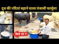 मात्र ₹20 में बनाएं दूध डबल करने वाली खुराक👍Milk Increase formula in Dairy Farm👍 Feed Mangement