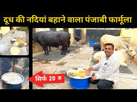 वीडियो: सिम्पेटिको बहुवचन रूप में क्या है?