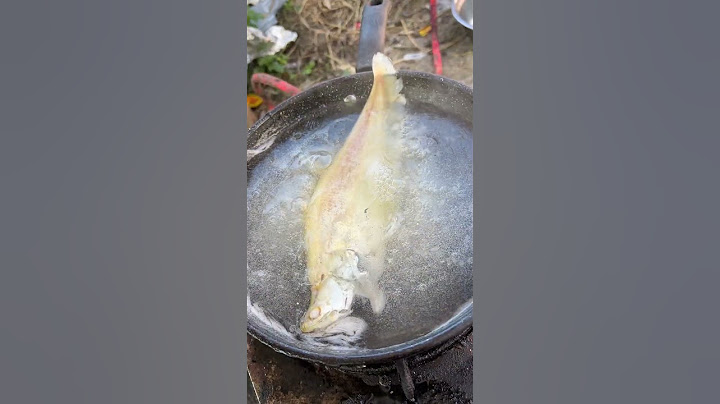 Have you ever eaten fish jelly? |Chinese Mountain Forest Life and Food #Moo TikTok#FYP