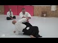 Aikido stephane goffin budapest 2023