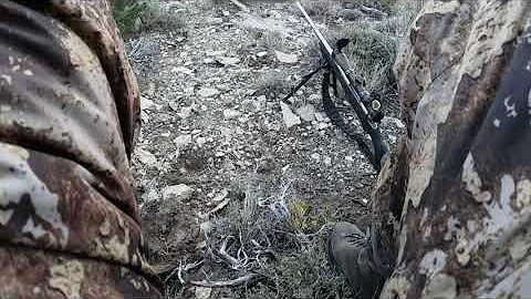 2025 Utah General Rifle Mule Deer