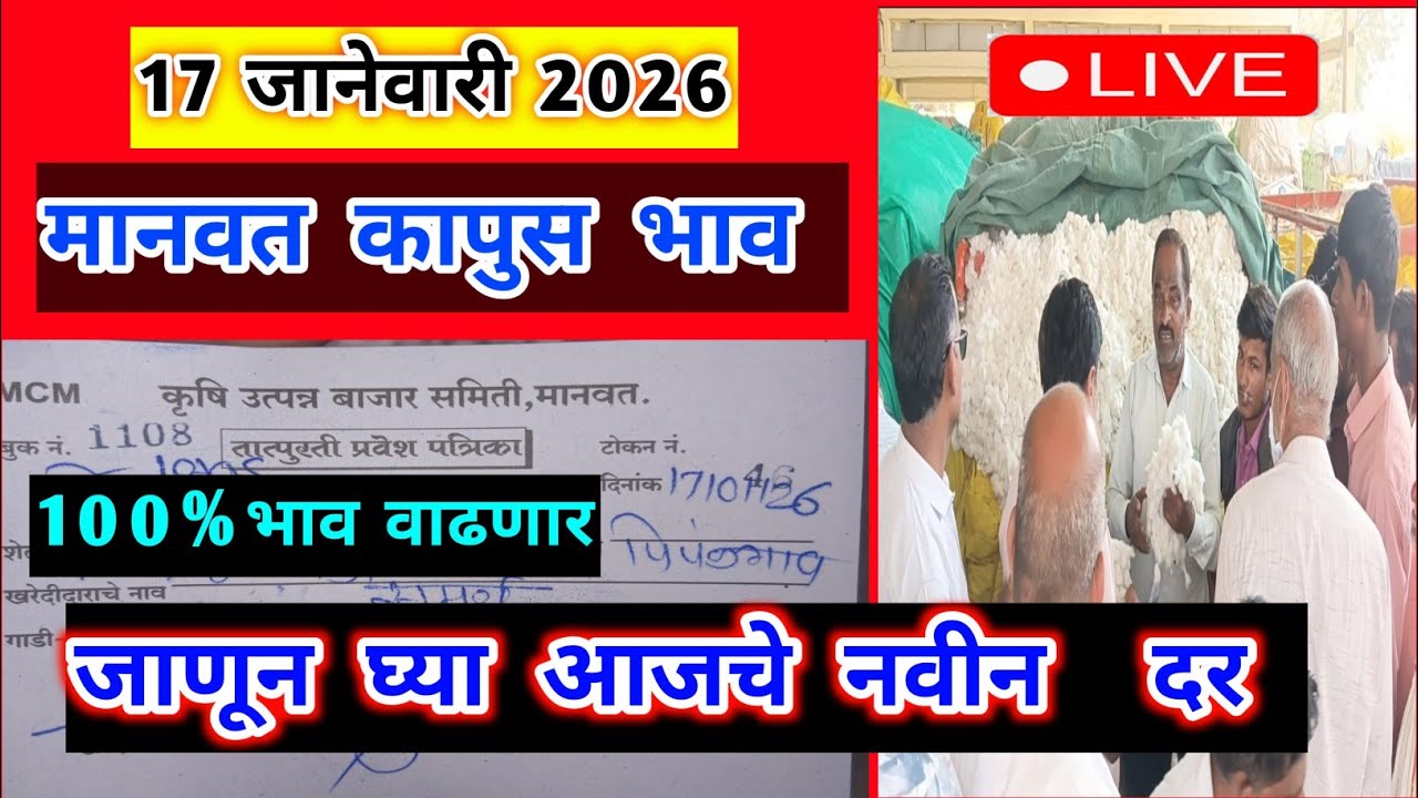 🔴17 जानेवारी 2026।मानवत कापूस भाव |Kapus bajar bhav।कापुस बाजार भाव आजचे।Kapus Bhav Today|8300|