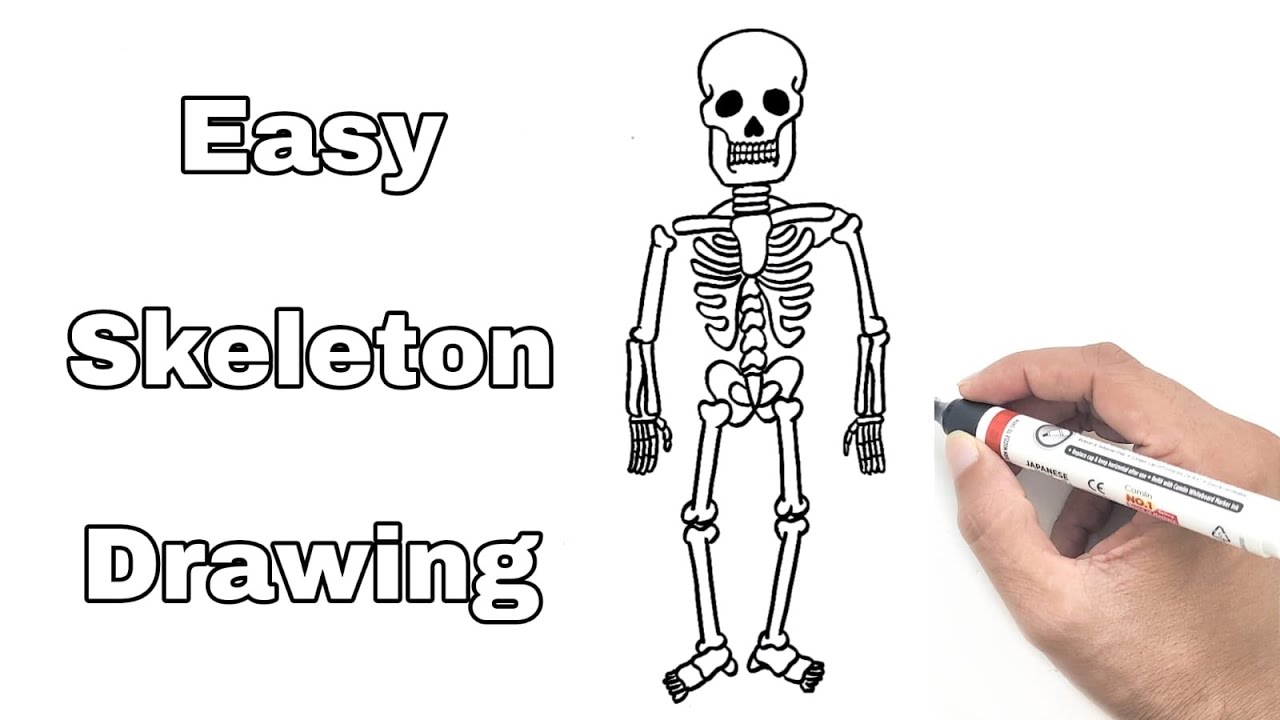 How to Draw Skeleton For Kids - DrawingNow