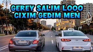 Salım Lo Çıxım Gedim Men | Remix | Mahnılar Pro - Ai Cover ( 2026 Yeni )