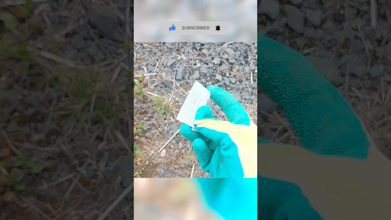 Gemeinsam gegen Umweltverschmutzung 