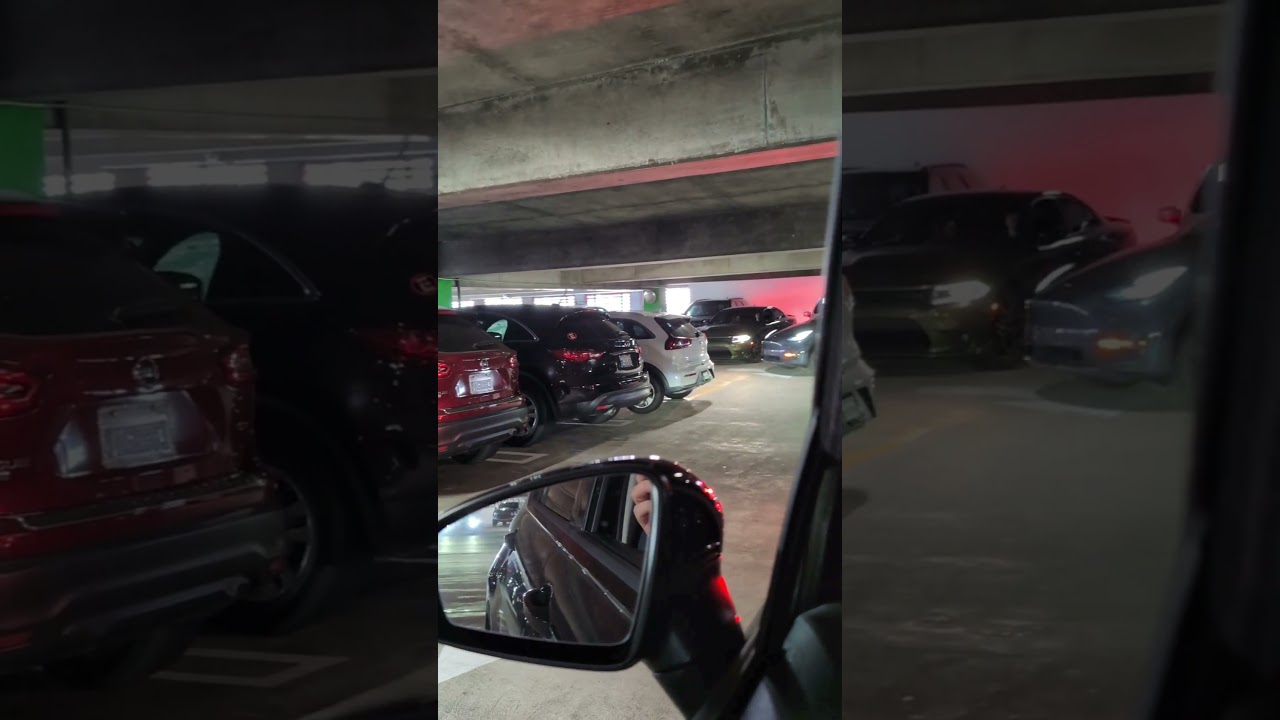 Backwards parkers are ruining the world, man. (Look at the Tesla speed by 😂)