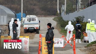 S. Korea reports African swine fever outbreak in Gangwon-do Province, third case this year