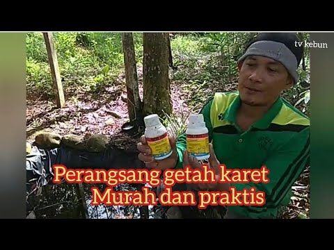 Perangsang Getah karet racikan, Murah dan Praktis.