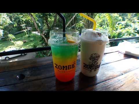ซอมบี้ คาเฟ่ ลำธารและทุ่งนา ที่แม่ริม เชียงใหม่ (Zombie Cafe' Maerim Chiangmai)