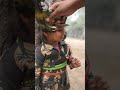 Teri Mitti Me Mil Jawanрџ рџ і Teri Mitti Me Mil Jawanрџ рџ і