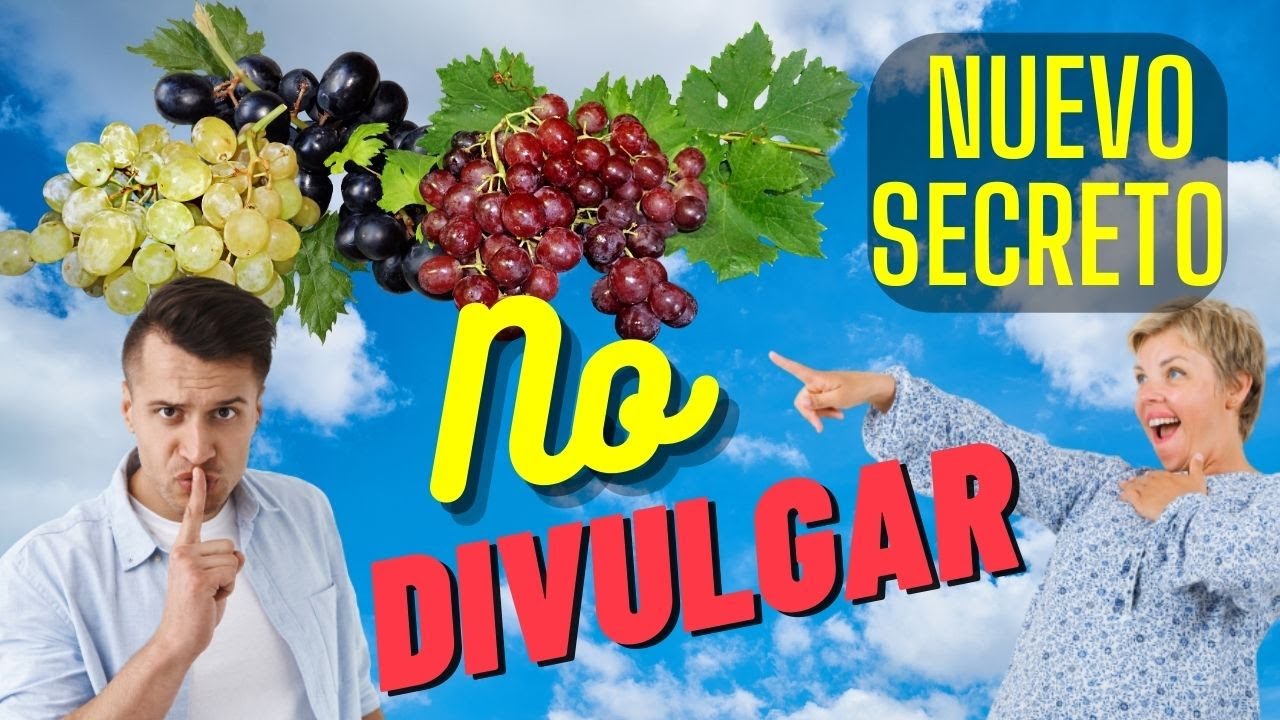 Nuevo Secret Uvas | Beneficios Tip Uvas | Online