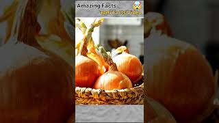 Top 5 Amazing Kitchen Hacks | 5 Kitchen Hacks You Didn’t Know 🤯 | Life Changing Tricks | #shorts