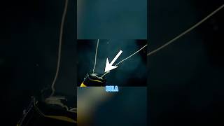 Catch Anyone From 25Ft?