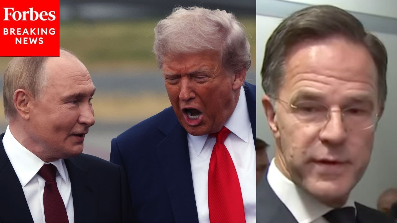 Генсека НАТО Марка Рютте спросили о задержке саммита Трампа и Путина в Будапеште: «Вы это приветс...