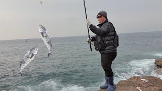 오호항 서낭 바위 임연수 낚시[돌망치TV]