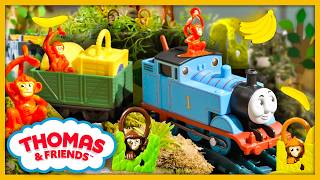 Thomas E Le Scimmiette Birichine Attento, Thomas Episodio Completo Storie Per Bambini