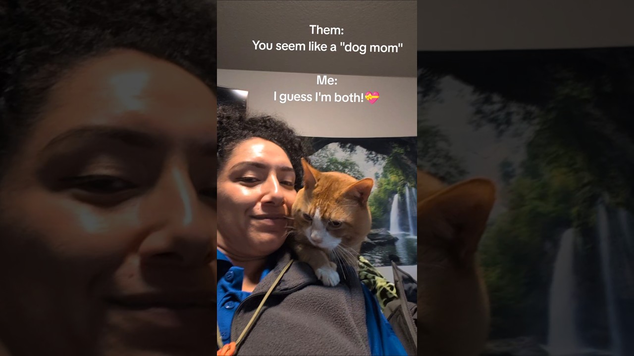 POV: you have the best cuddle bug! 💞