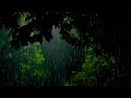 Heavy Rain Sounds for Deep Sleep - Forest Rain on Leaves, Relaxing White Noise