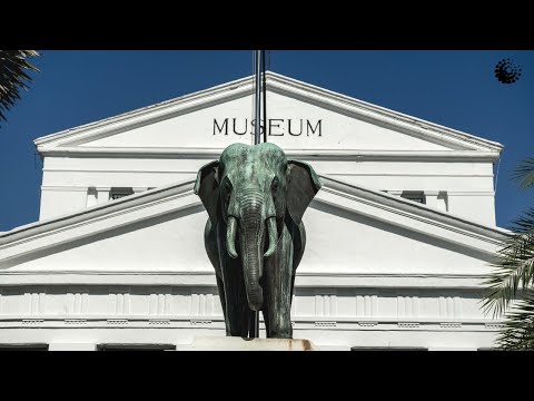 Isi Dari Museum Gajah