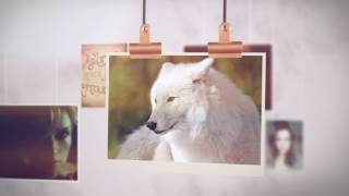 The Lady in the Mist, Book One of The Western Werewolf Legend