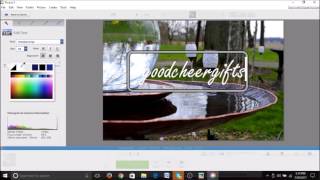Adding Watermark in Picasa