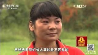 3集系列片走进石林(1)谁说女子不如男 【走遍中国 20151023】