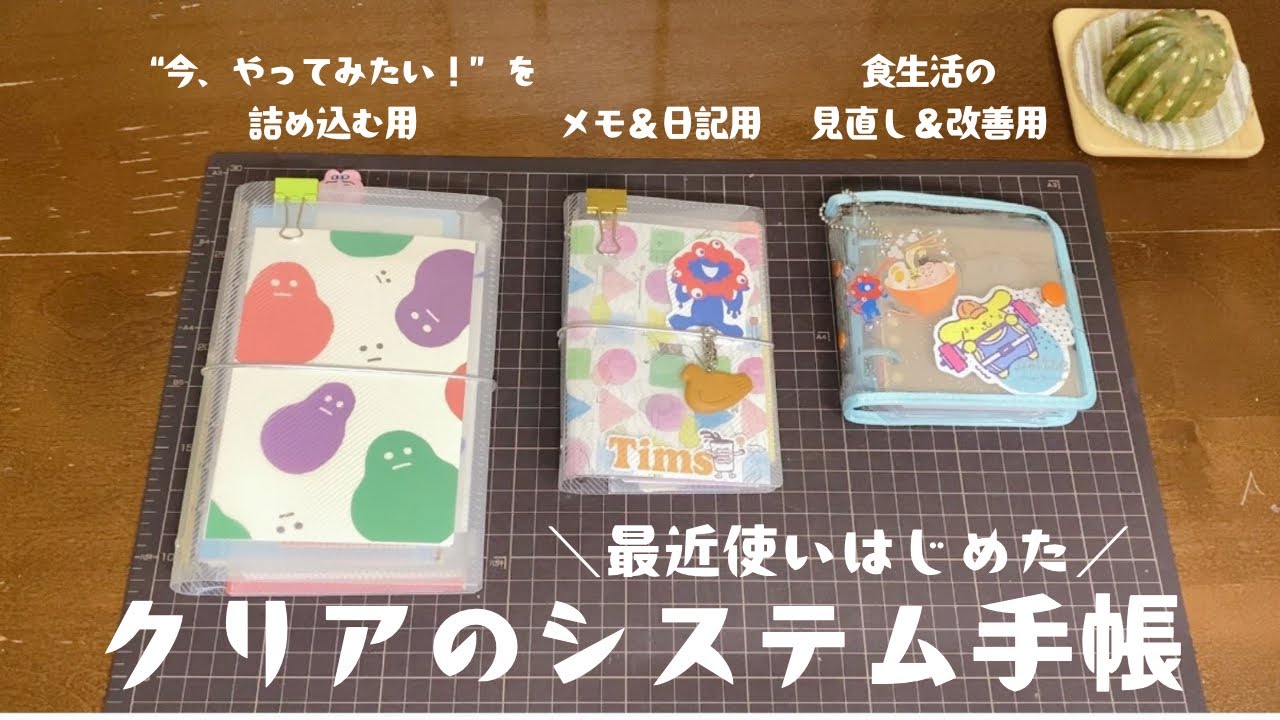 【手帳の中身】最近使い始めたクリアのシステム手帳の中身のご紹介