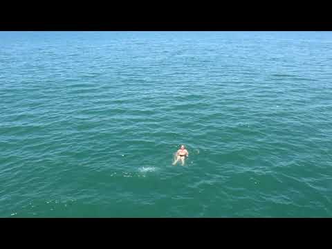 მწვანე კონცხი 2019