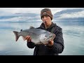 Wild alaska  valdez silver salmon