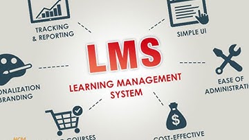 13 LMS DigiSkills - Learning Management System