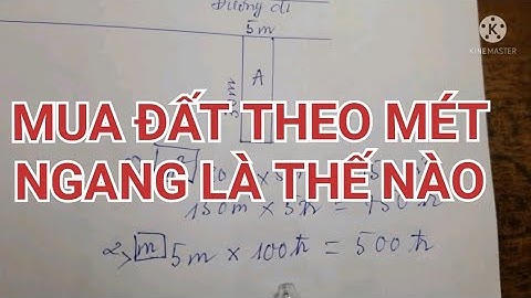 1 lô đất là bao nhiêu m2 năm 2024