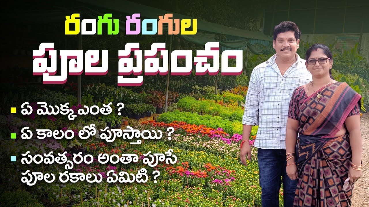 మనకి తెలియని ఎన్నో పూల మొక్కలు,🌺🌼🌻ఉన్నాయి ఇక్కడ #NurseryVisit #OrganicPrabha