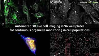 Cx-A Automated 3D Live Cell Imaging In 96 Well Plates