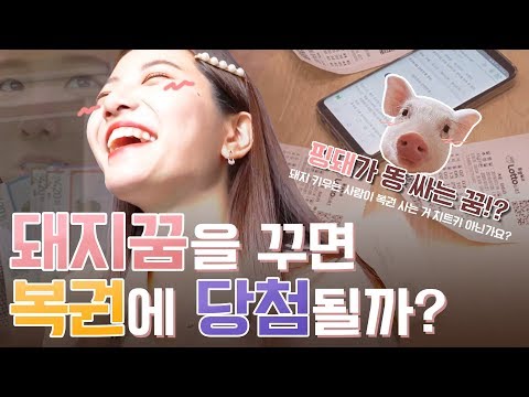 정말 돼지꿈을 꾸면 복권에 당첨될까? [꿀꿀선아]로또,연금복권