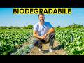 PACCIAMATURA BIODEGRADABILE: QUALE SCEGLIERE