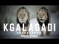 S1E9 | Traveling Alone Through South Africa (Kgalagadi Transfrontier National Park)