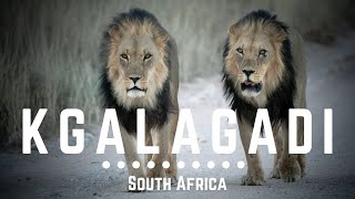 S1E9 | Traveling Alone Through South Africa (Kgalagadi Transfrontier National Park)