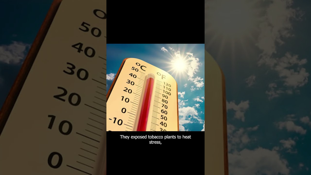 Plants can remember what they've been through! 