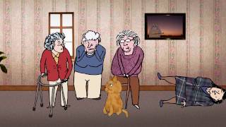 Cbbc Ministry Of Curious Stuff - Cat Predicts