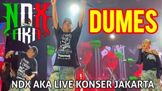 NDX AKA || Dumes || Live Konser Jakarta