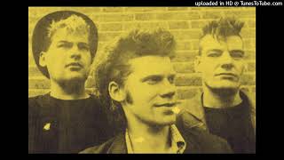 The Janitors - John Peel Session #3 6th January 1987