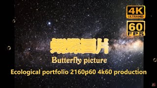 Butterfly picture 10 （ 2160p60 4k60 ）