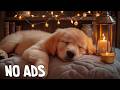 24 Hours Dog Sleep Music 🎧 Dog Calming Music - Dog Healing Soundscape For Relaxation And Ease