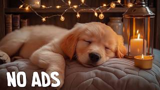 24 Hours Dog Sleep Music 🎧 Dog Calming Music - Dog Healing Soundscape For Relaxation And Ease
