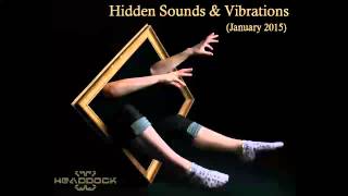 VA   Hidden Sounds & Vibrations January 2015 CD3