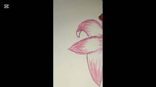Cute Lily Flower Tutorial