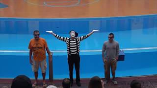 Mimes return to SeaWorld Orlando's Clyde and Seamore Sea Lion High