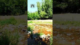 Dağların En Yücesine