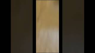 Vani Bhojan With Black...